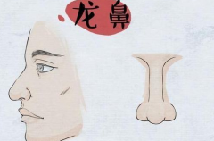 哪种鼻子有福气