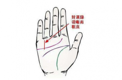 女人富贵命罕见手相