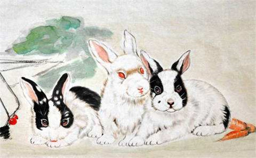 属兔人的六合贵人是谁