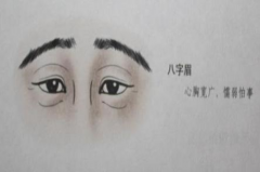 男人八字眉毛看相图解