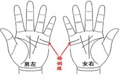 因婚而贵的手相
