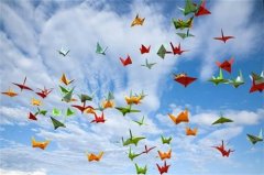 这几大生肖命里藏富贵