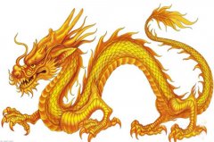 为什么属龙不能带金，属龙适合佩戴什么