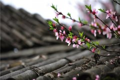 2021年正缘红鸾入命的生肖，2021年哪些生肖有桃花运