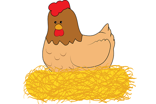 属鸡的可以摆放鸡的摆件吗 如何能够提升运势