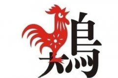 2022年属鸡的适合换工作吗，属鸡人2022年适合跳槽吗