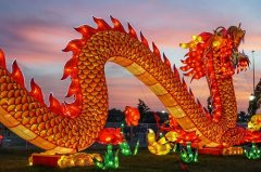 88属龙人的好运年龄，88年龙什么年份会行好运