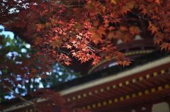 2023年犯太岁是从何时起何时止，哪些属相犯太岁