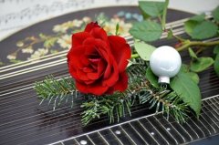 2023年属猪犯白虎，如何化解
