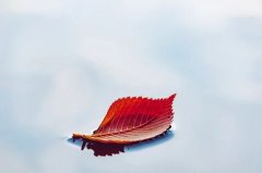 我属羊和老公属猴买房几楼好，最旺属羊与属猴的楼层风水